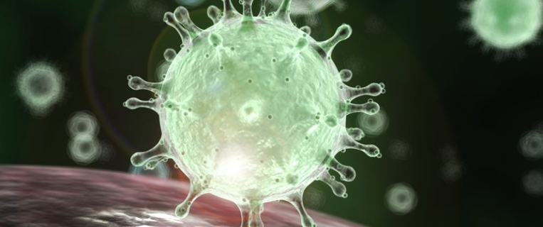 Coronavirus: what we are doing