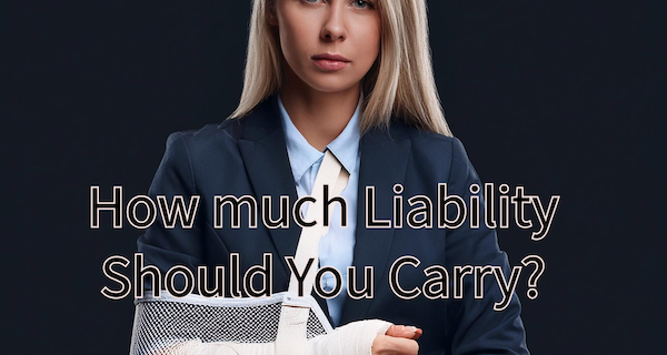 How much is enough Bodily Injury Liability?